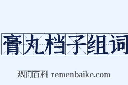 膏丸档子组词是什么意思的图片